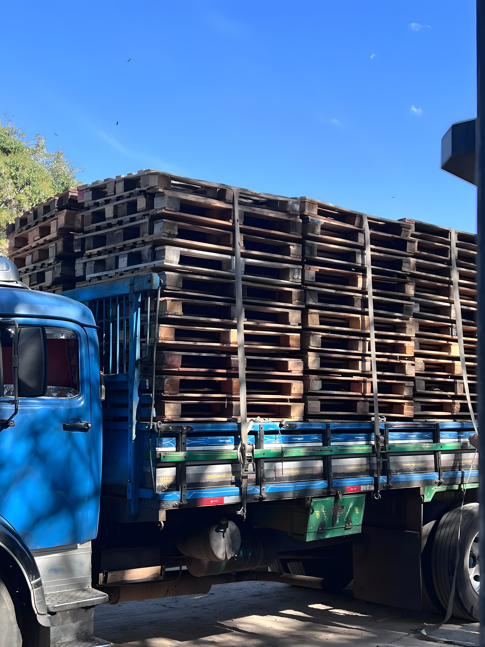 Grande volume de pallets de madeira empilhados no pátio da Repalex